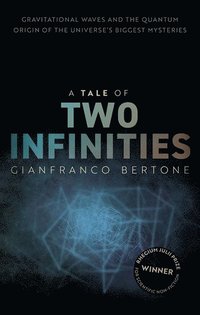 bokomslag A Tale of Two Infinities