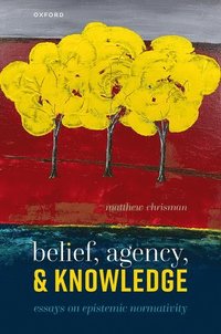 bokomslag Belief, Agency, and Knowledge