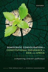 bokomslag Democratic Consolidation and Constitutional Endurance in Asia and Africa