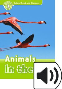 bokomslag Oxford Read and Discover: Level 3: Animals in the Air Audio Pack