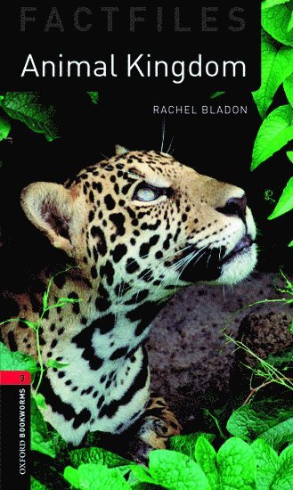 bokomslag Oxford Bookworms Library Factfiles: Level 3:: Animal Kingdom