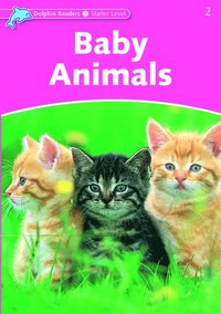 bokomslag Dolphin Readers Starter Level: Starter: Baby Animals