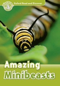 bokomslag Oxford Read and Discover: Level 3: Amazing Minibeasts