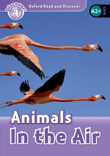 Robert Quinn - Oxford Read and Discover: Level 4: Animals in the Air, Häftad