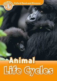 bokomslag Oxford Read and Discover: Level 5: Animal Life Cycles