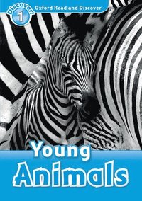 bokomslag Oxford Read and Discover: Level 1: Young Animals