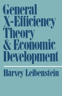 bokomslag General X-Efficiency Theory and Economic Development