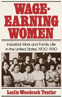 bokomslag Wage-Earning Women