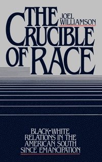 bokomslag The Crucible of Race