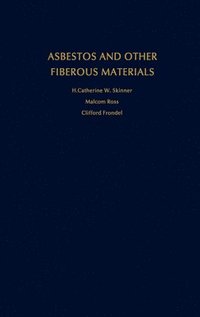 bokomslag Asbestos and Other Fibrous Materials