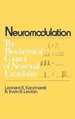 bokomslag Neuromodulation