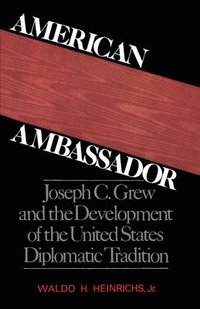 bokomslag American Ambassador