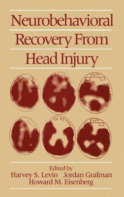 Harvey S. Levin, Jordan Grafman, Howard M. Eisenberg - Neurobehavioral Recovery from Head Injury, Inbunden