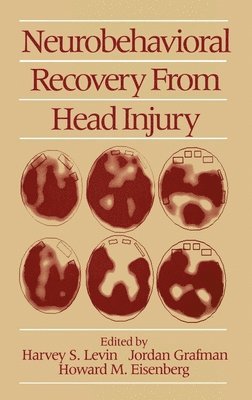 Neurobehavioral Recovery from Head Injury 1