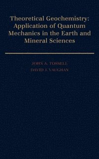 bokomslag Theoretical Geochemistry