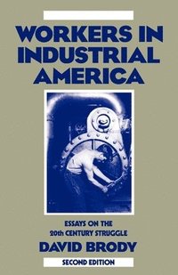 bokomslag Workers in Industrial America