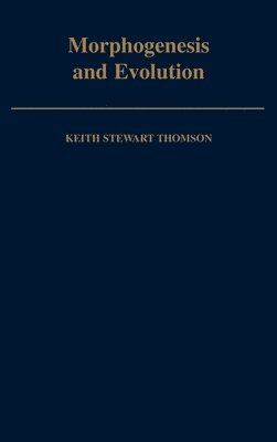 Morphogenesis and Evolution