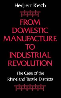bokomslag From Domestic Manufacture to Industrial Revolution