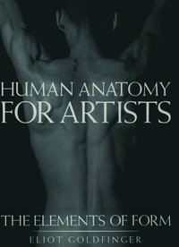 bokomslag Human Anatomy for Artists