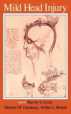 Harvey S. Levin, Howard M. Eisenberg, Arthur L. Benton - Mild Head Injury, Inbunden