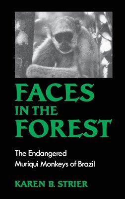 Faces in the Forest 1