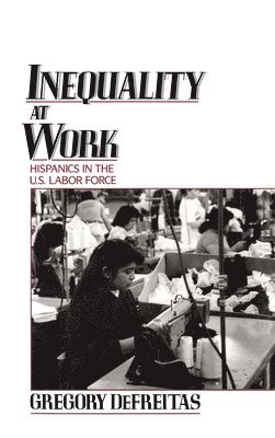 Inequality at Work 1