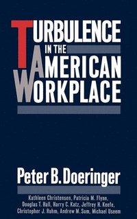 bokomslag Turbulence in the American Workplace