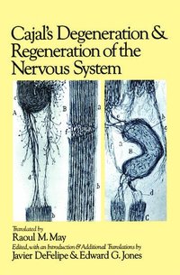 bokomslag Cajal's Degeneration and Regeneration of the Nervous System