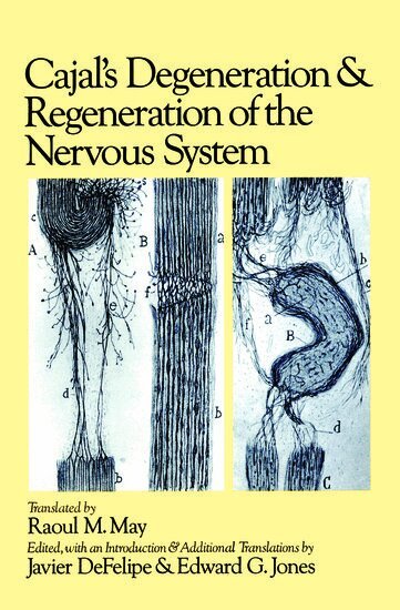 Santiago Ramon y Cajal, Javier DeFelipe, Edward G. Jones - Cajal's Degeneration and Regeneration of the Nervous System, Inbunden