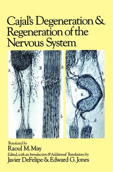 Cajal's Degeneration and Regeneration of the Nervous System 1