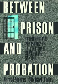 bokomslag Between Prison and Probation