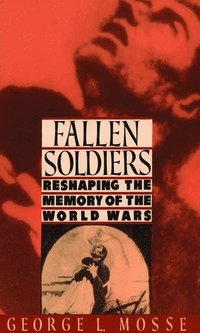 bokomslag Fallen Soldiers: Reshaping the Memory of the World Wars