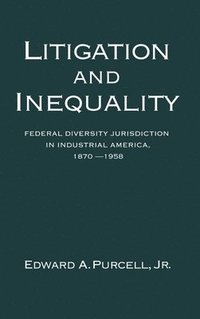 bokomslag Litigation and Inequality