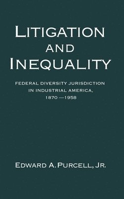 Litigation and Inequality 1