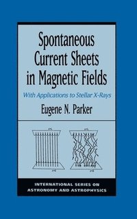 bokomslag Spontaneous Current Sheets in Magnetic Fields