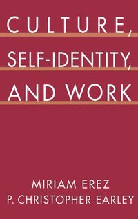 bokomslag Culture, Self-Identity, and Work