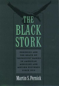 bokomslag The Black Stork