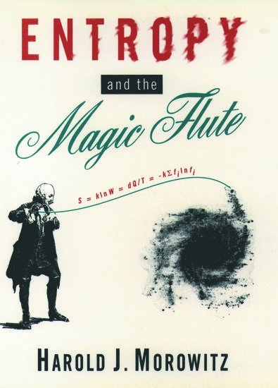 Entropy and the Magic Flute 1