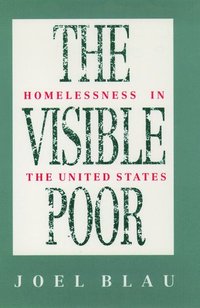 bokomslag The Visible Poor