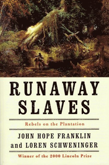 bokomslag Runaway Slaves