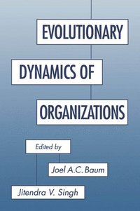 bokomslag Evolutionary Dynamics of Organizations