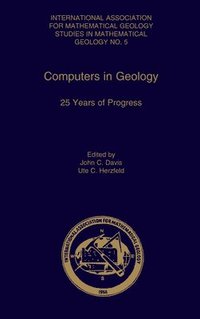 bokomslag Computers in Geology - 25 Years of Progress