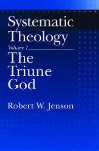 bokomslag Systematic Theology: Volume 1: The Triune God