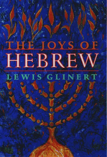 bokomslag The Joys of Hebrew