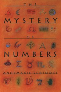 bokomslag The Mystery of Numbers