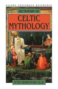bokomslag Dictionary of Celtic Mythology