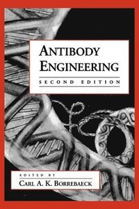 bokomslag Antibody Engineering
