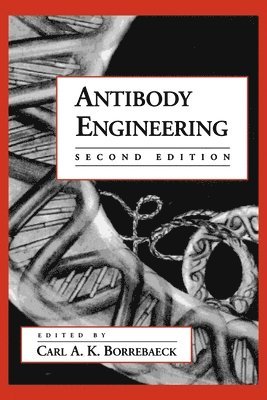 Antibody Engineering 1