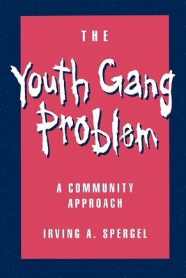 bokomslag The Youth Gang Problem