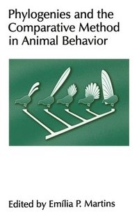 bokomslag Phylogenies and the Comparative Method in Animal Behaviour